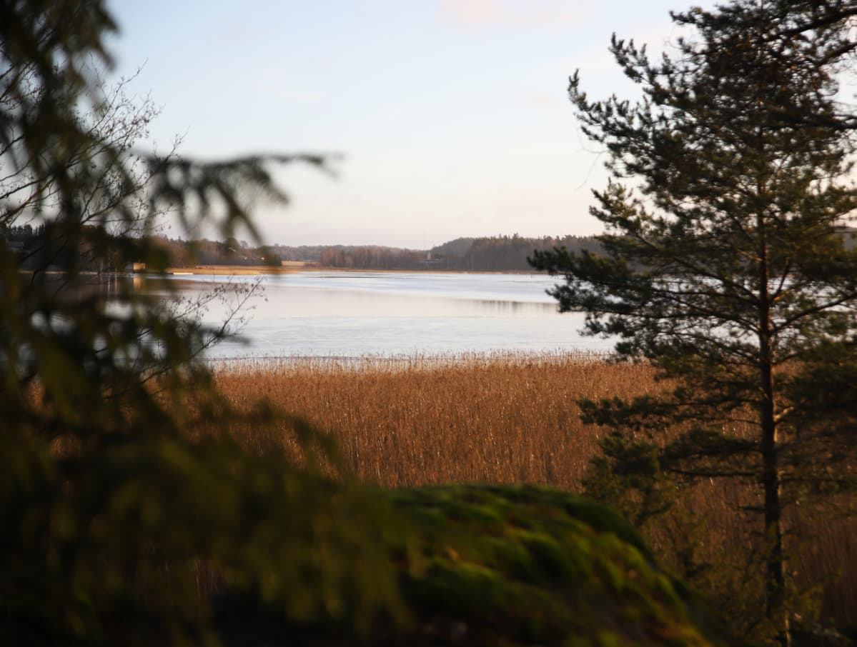 Pitkäsalmi avautuu Karinakodin ikkunoista Turun Hirvensalossa.