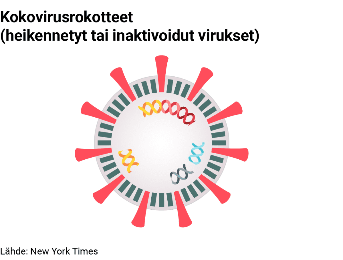 Kokovirusrokote