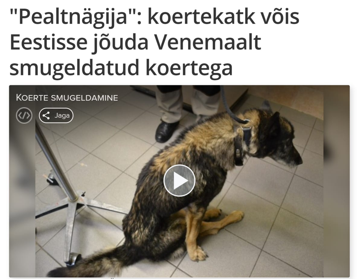 Pealtnägija-ohjelma paljasti Loomade Hoiupaikiin liittyviä ongelmia helmikuussa.