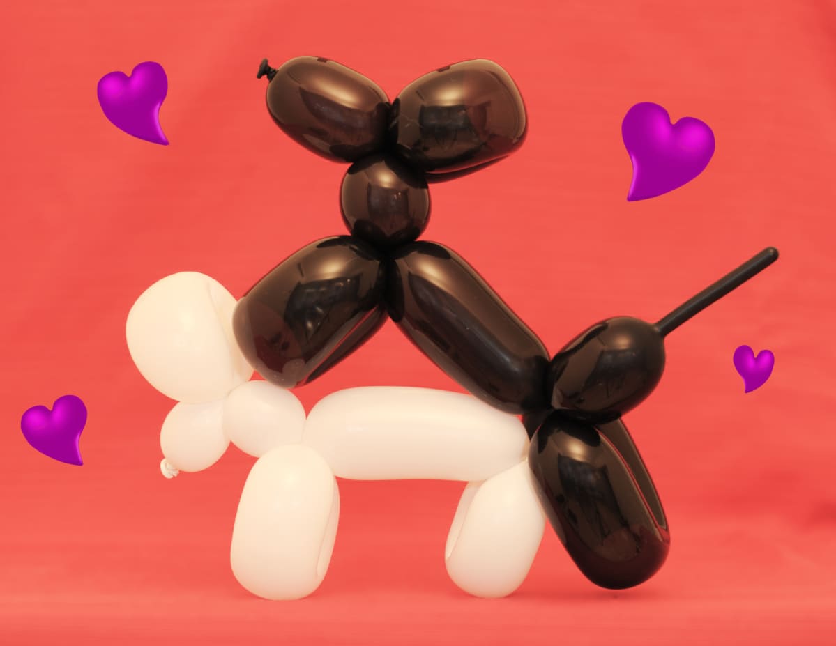 Två hundballonger har sex.
