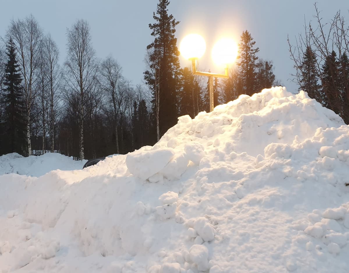 Lumikasoja Ivalossa tammikuussa 2020.