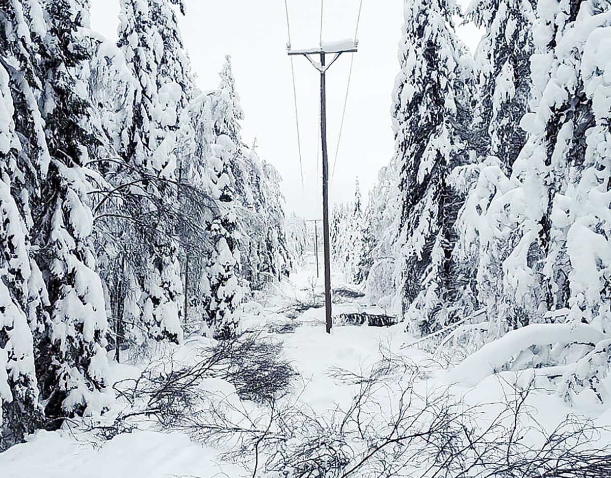 Kainuu tykkylumi sähkökatkot