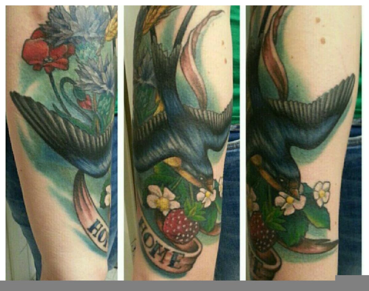 Kuvassa on käsivarteen tatuoittu värillinen lintu.