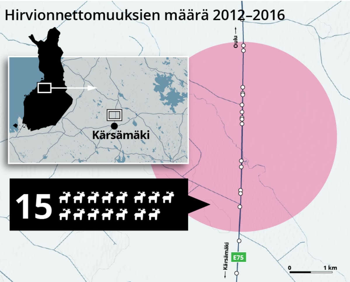 15 hirvionnettomuutta vuosina 2012–2016 Kärsämäellä. Tietolähde: Liikennevirasto.
