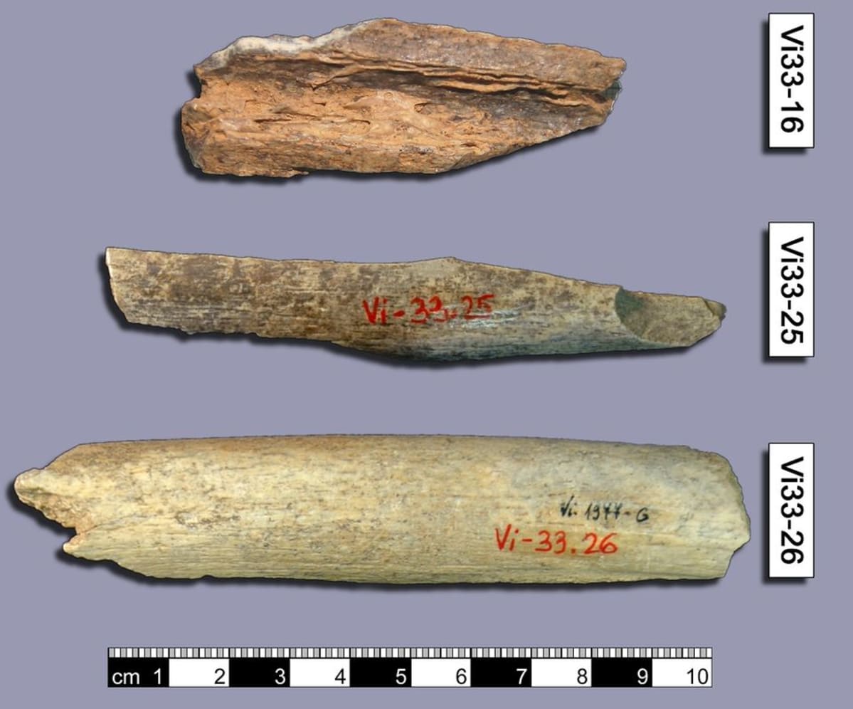 neandertalilaisen luita