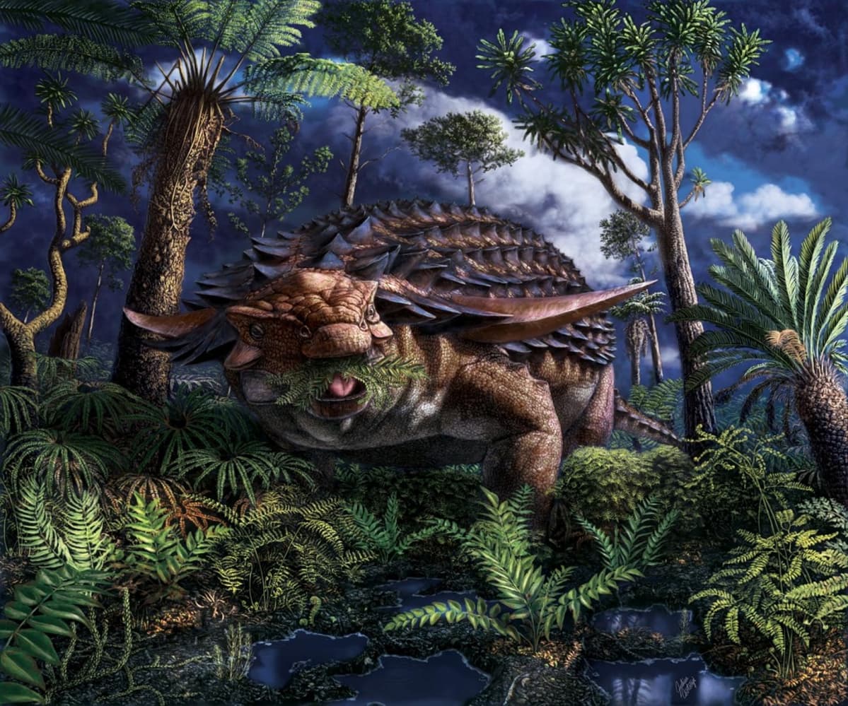 Panssarin suojaama matala dinosaurus saniaisia suussaan rehevässä metsässä.