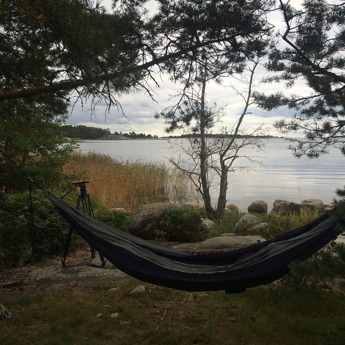 riippukeinu rantapuissa