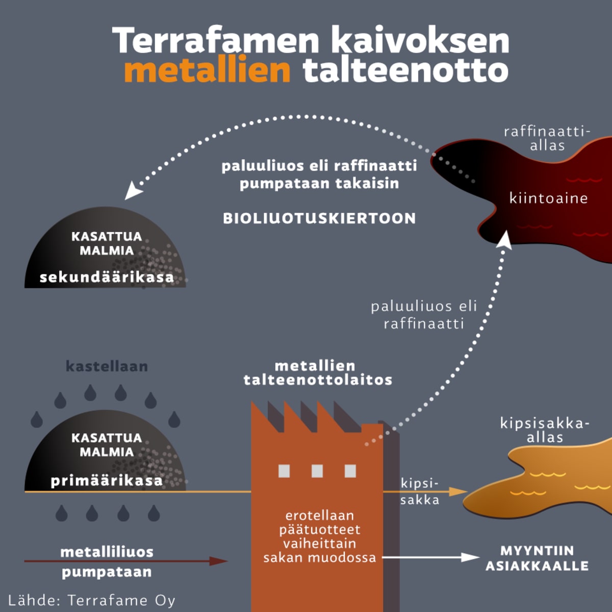 Grafiikka
