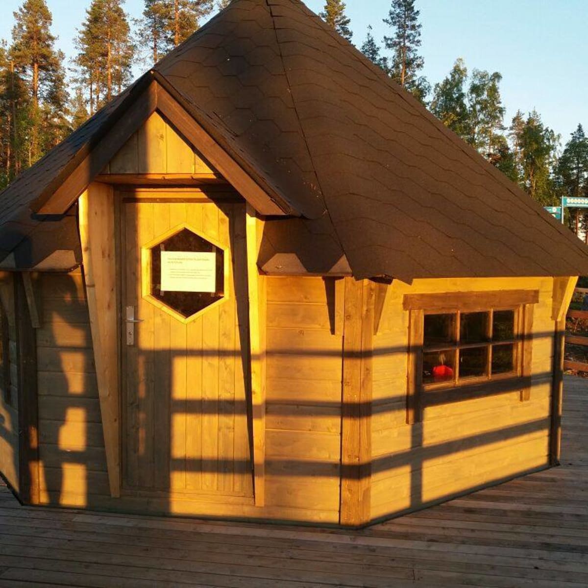 Kota ilta-auringossa.