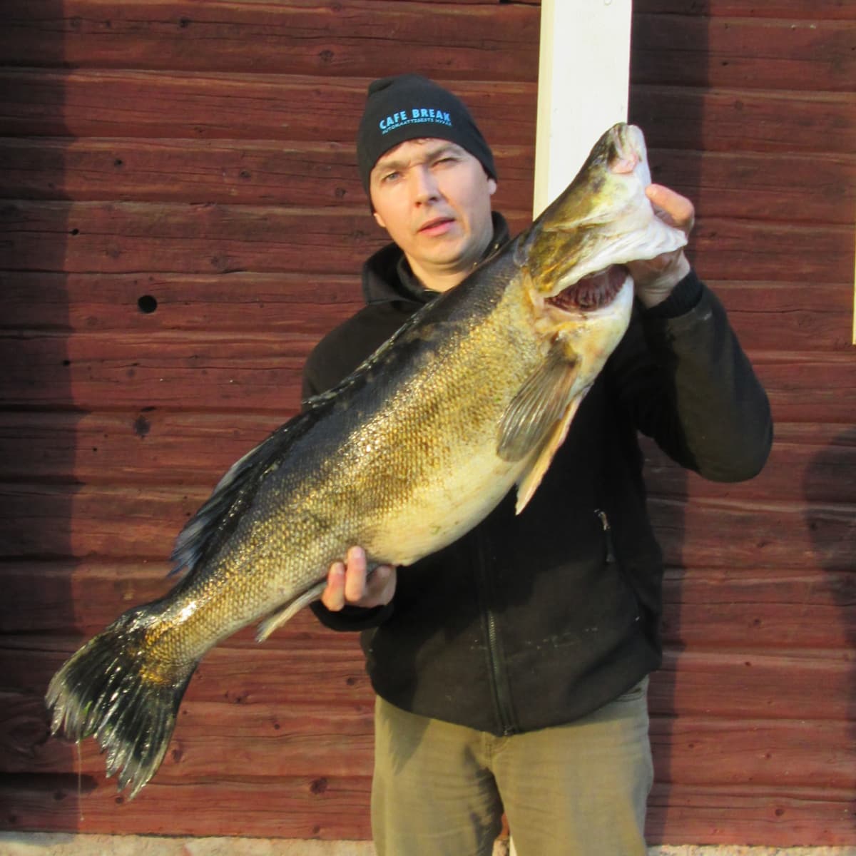 Tuomo Jurmu ja 11-kiloinen kuha