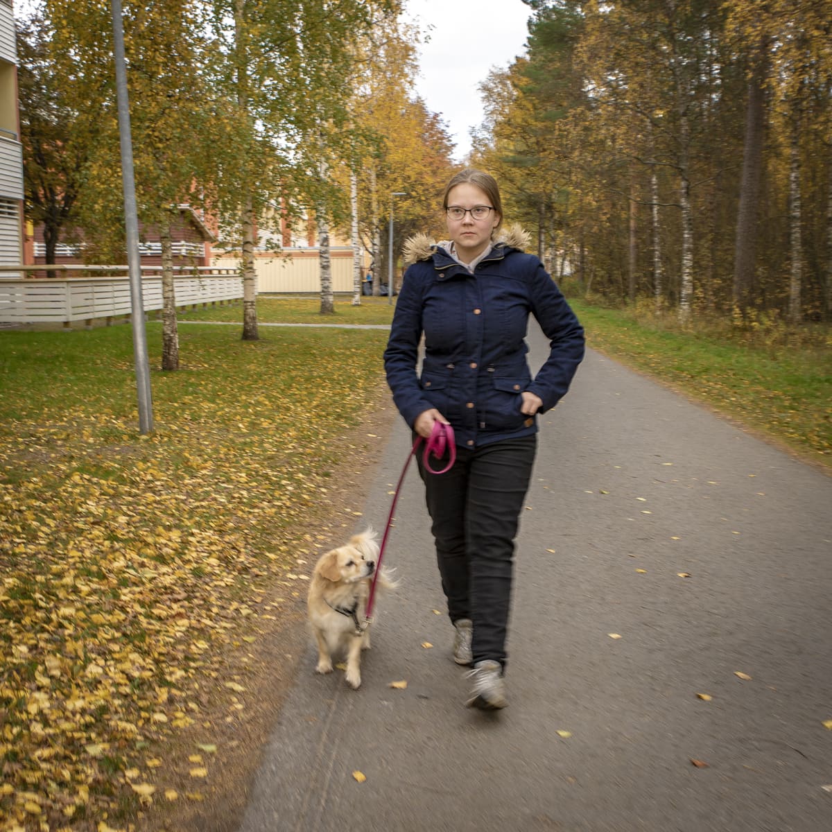 Oululainen Miia Seppälä ulkoiluttaa koiraansa