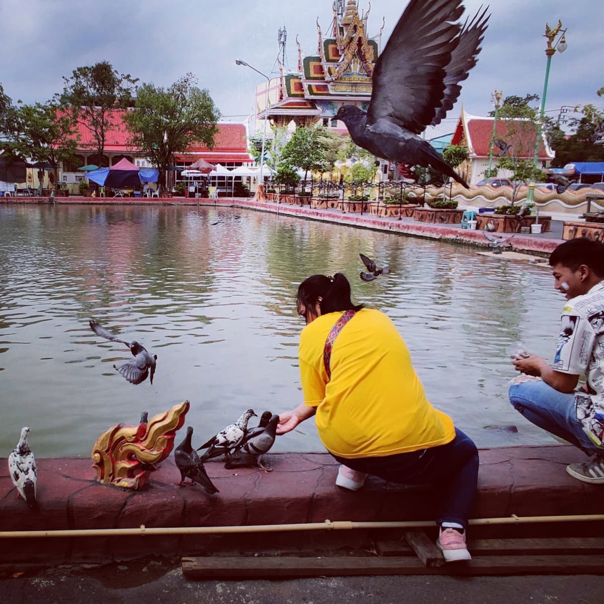 Pulujen ruokintaa temppelialueella Thaimaan Samut Prakanissa