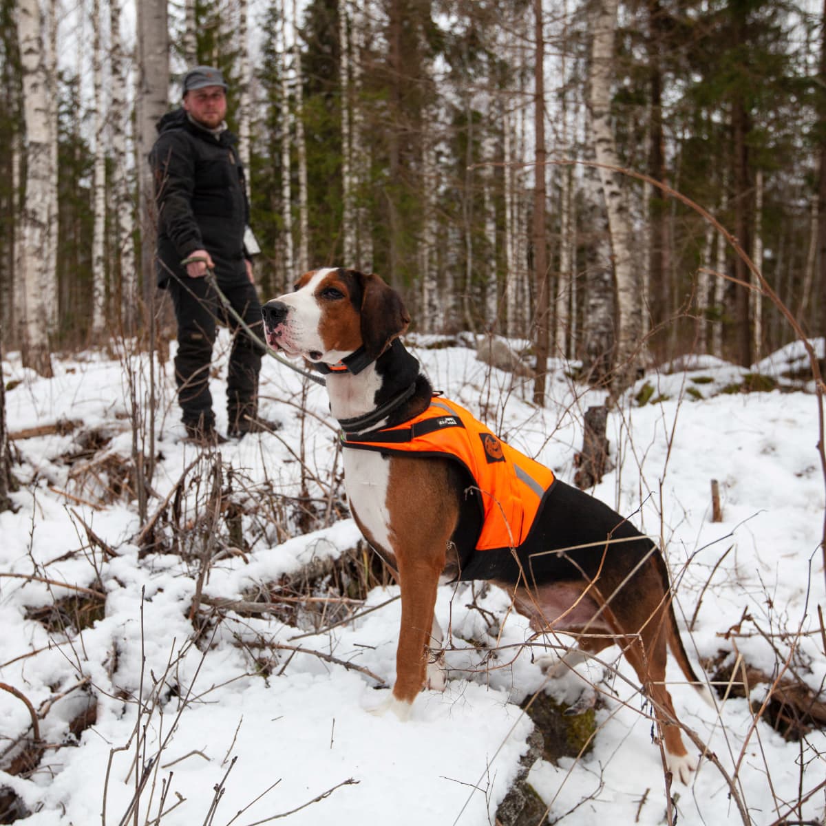 Pienpetojen metsästystä harrastava Mika Honkiniemi ja suomenajokoira Tikka yhteiskuvassa.