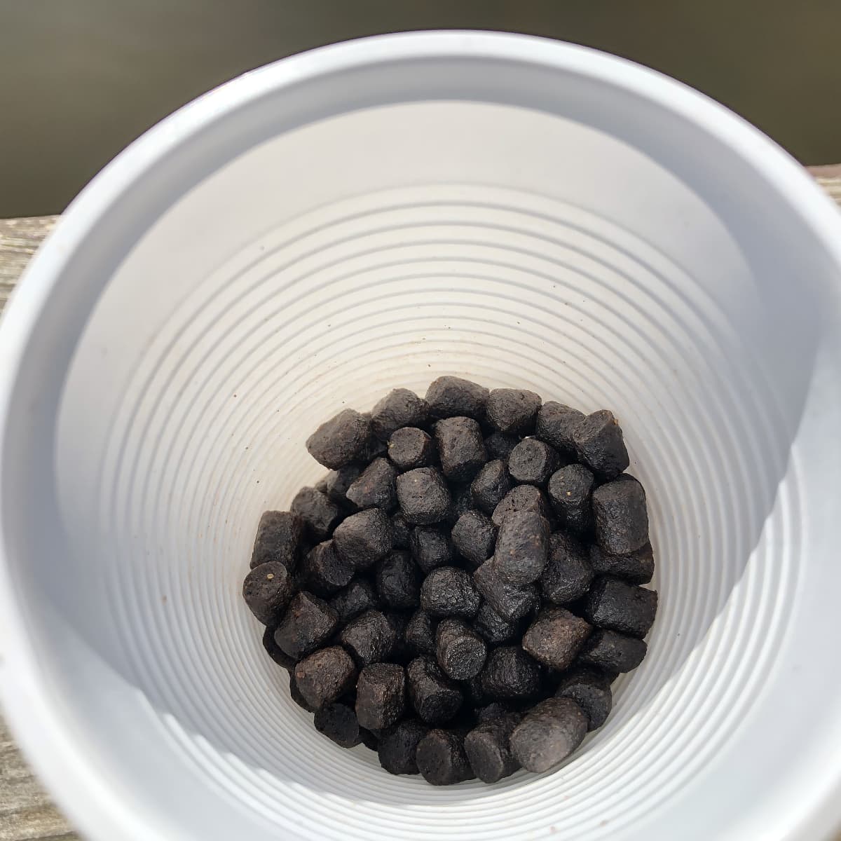 Kuvassa kalanruokapellettejä muovikupissa