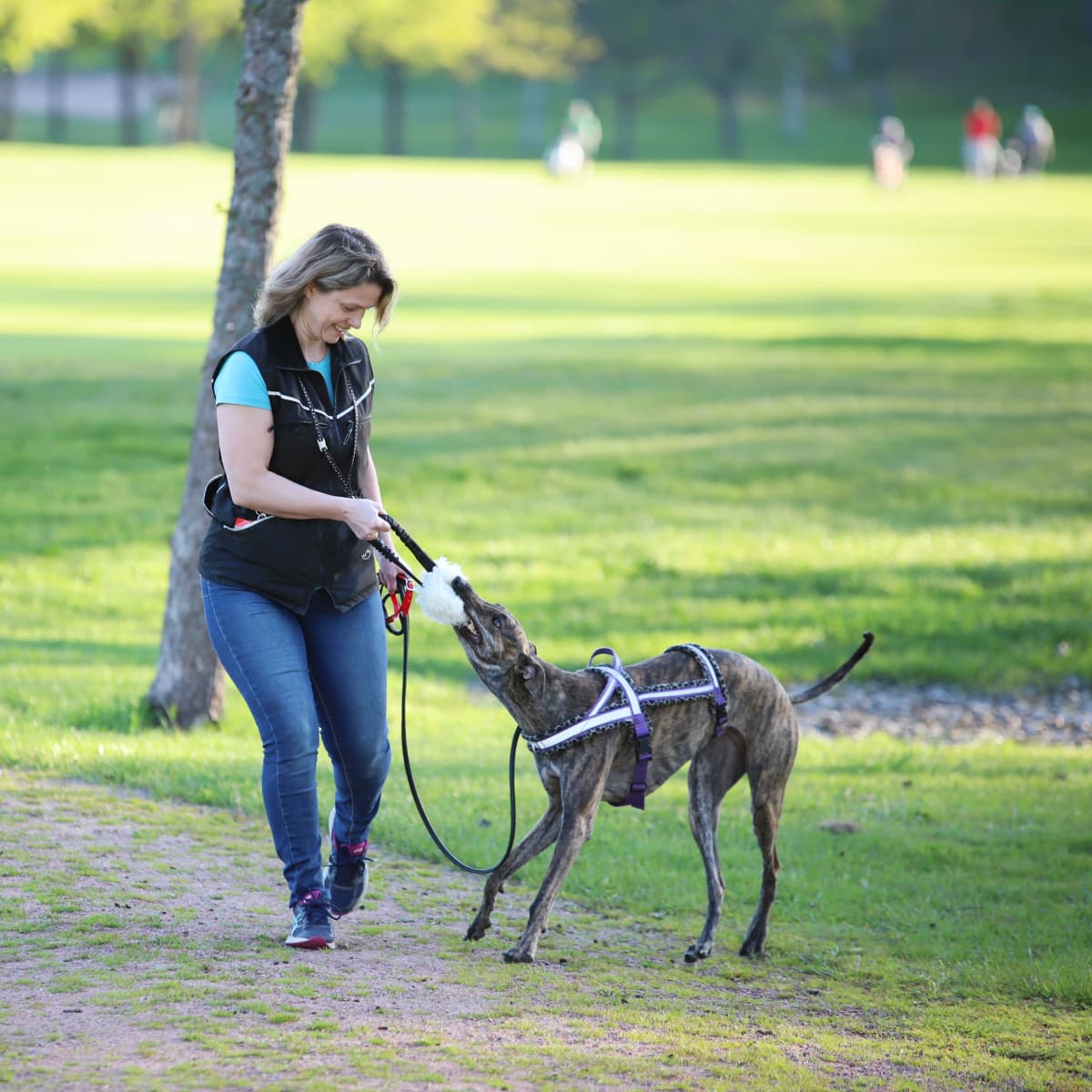 Nainen leikkii koiran kanssa golfkentällä