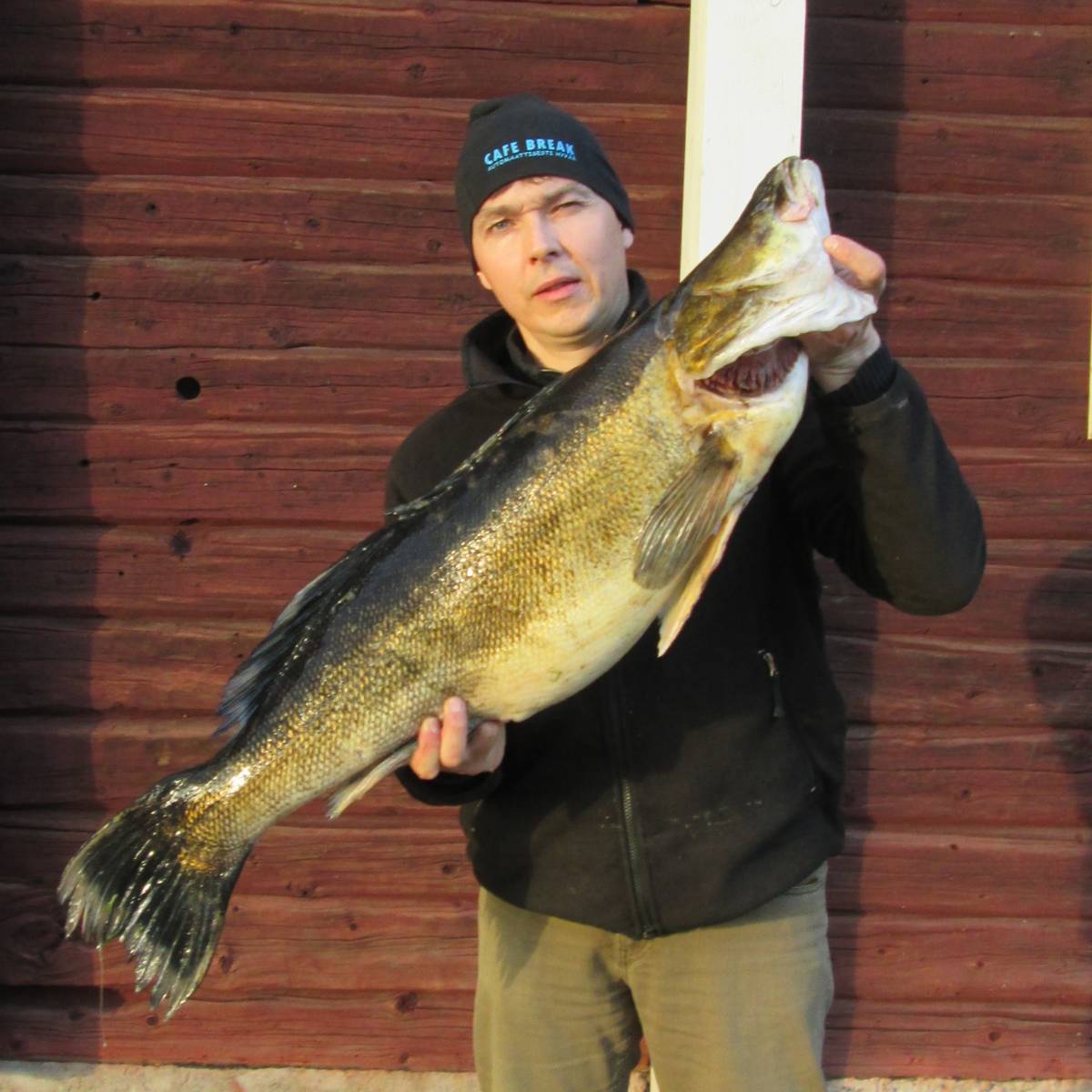Tuomo Jurmu ja 11-kiloinen kuha