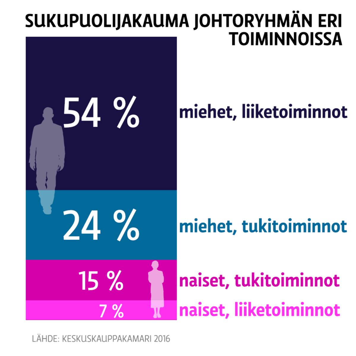 Sukupuolijakauma johtoryhmän eri toiminnoissa.