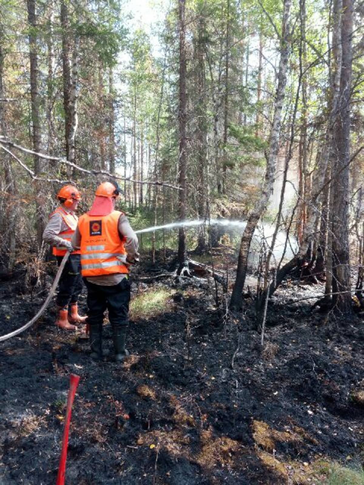 Ruotsin metsäpaloja on sammuttamassa kymmenen lappilaismetsuria.