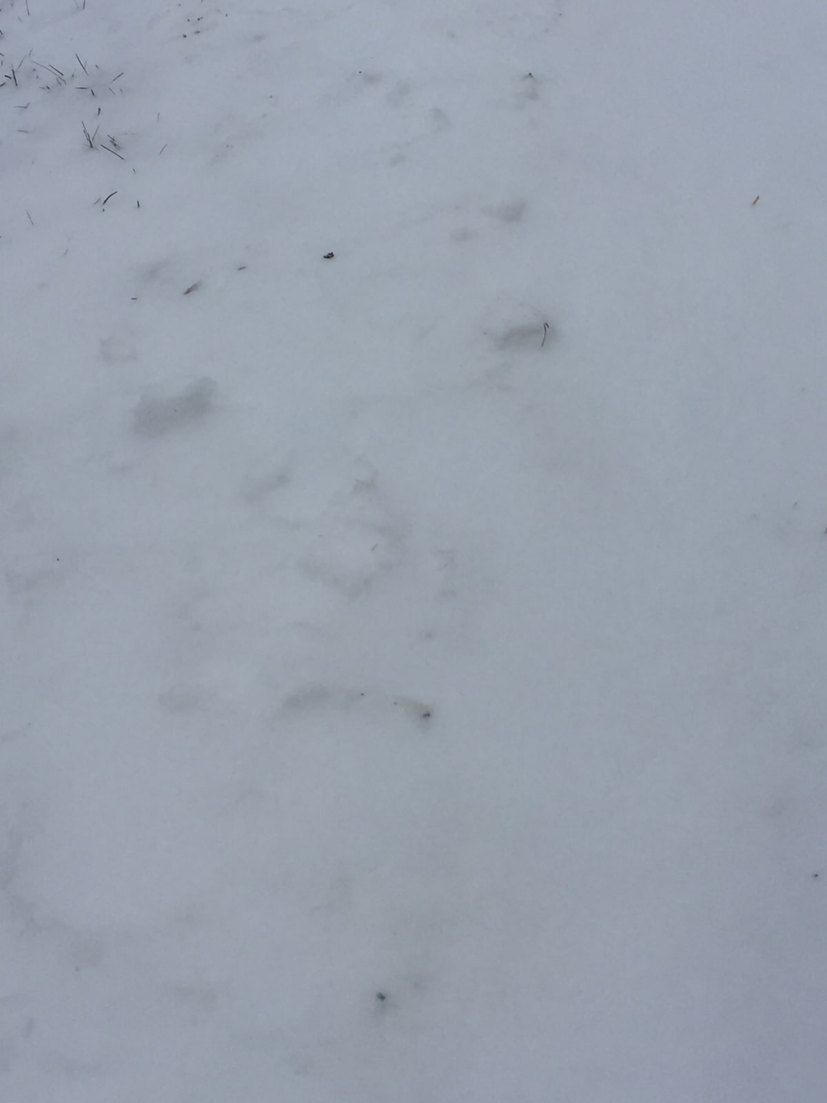 Pirjo Nieminen kuvasi mietiskelijän lenkkipolulla.