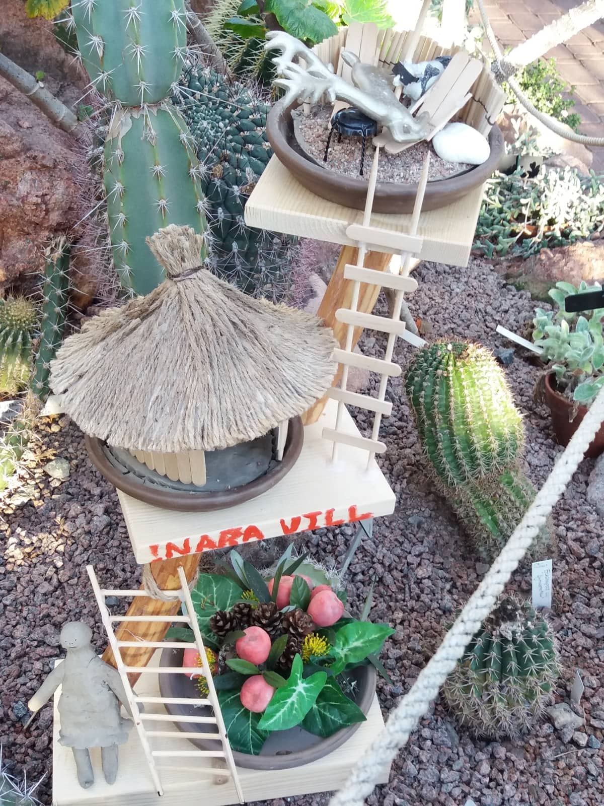 Miniatyyripuutarha TUrun kasvitieteellisessä puutarhassa