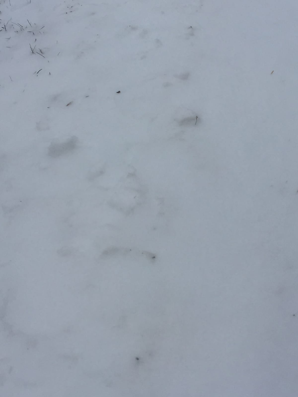 Pirjo Nieminen kuvasi mietiskelijän lenkkipolulla.