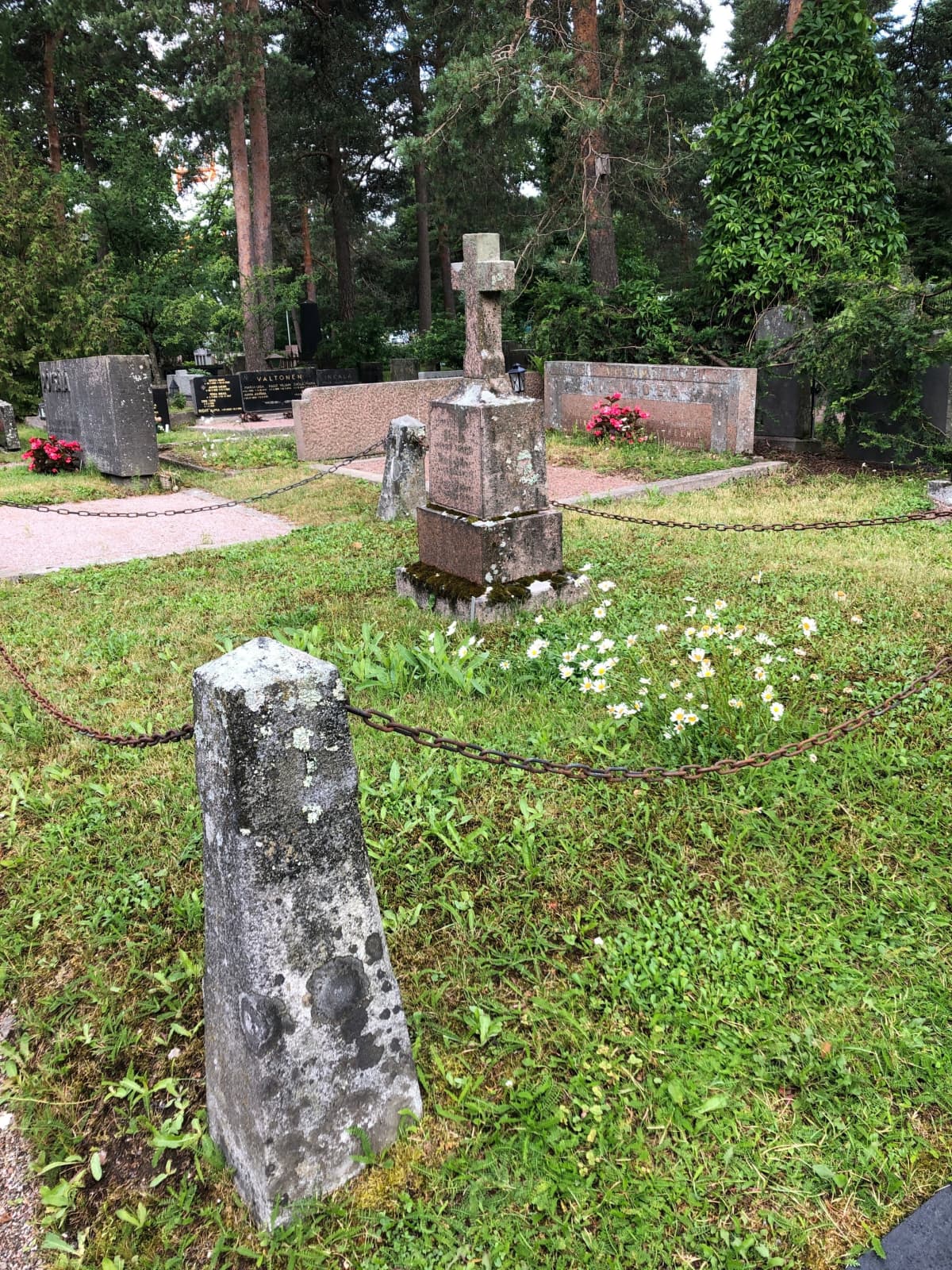Luonnonkukat hautapaikalla