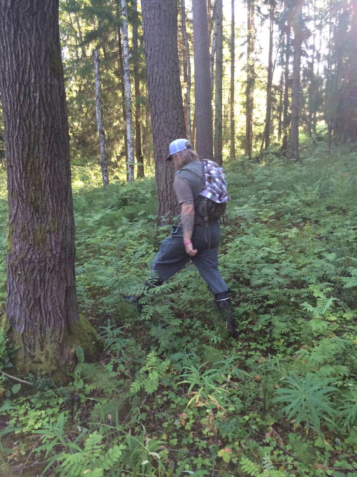 Metsäpuutarha Tampereen Tesomalla