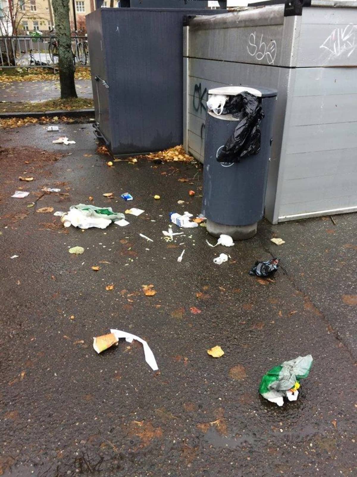 Roskia maassa ja täysi roskakori Rinki-ekopisteen yhteydessä.