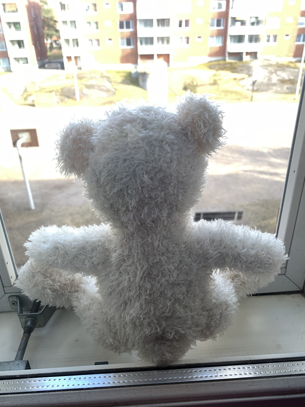 Nalle istuu ikkunanlaudalla.