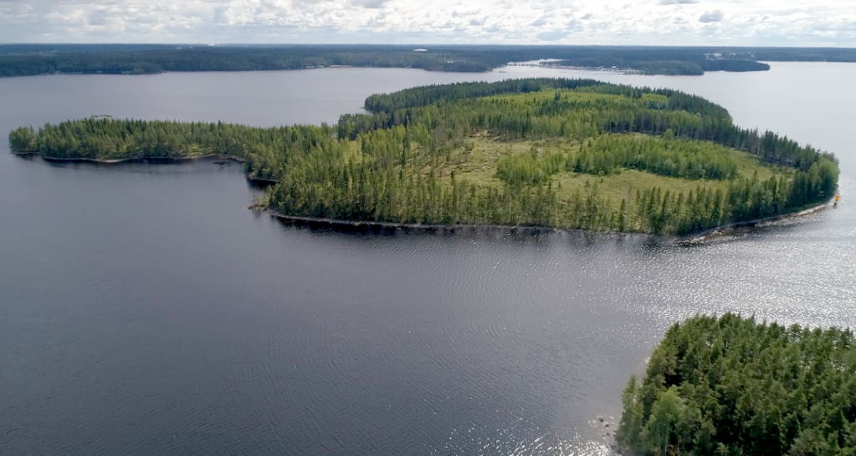 Haapasaari