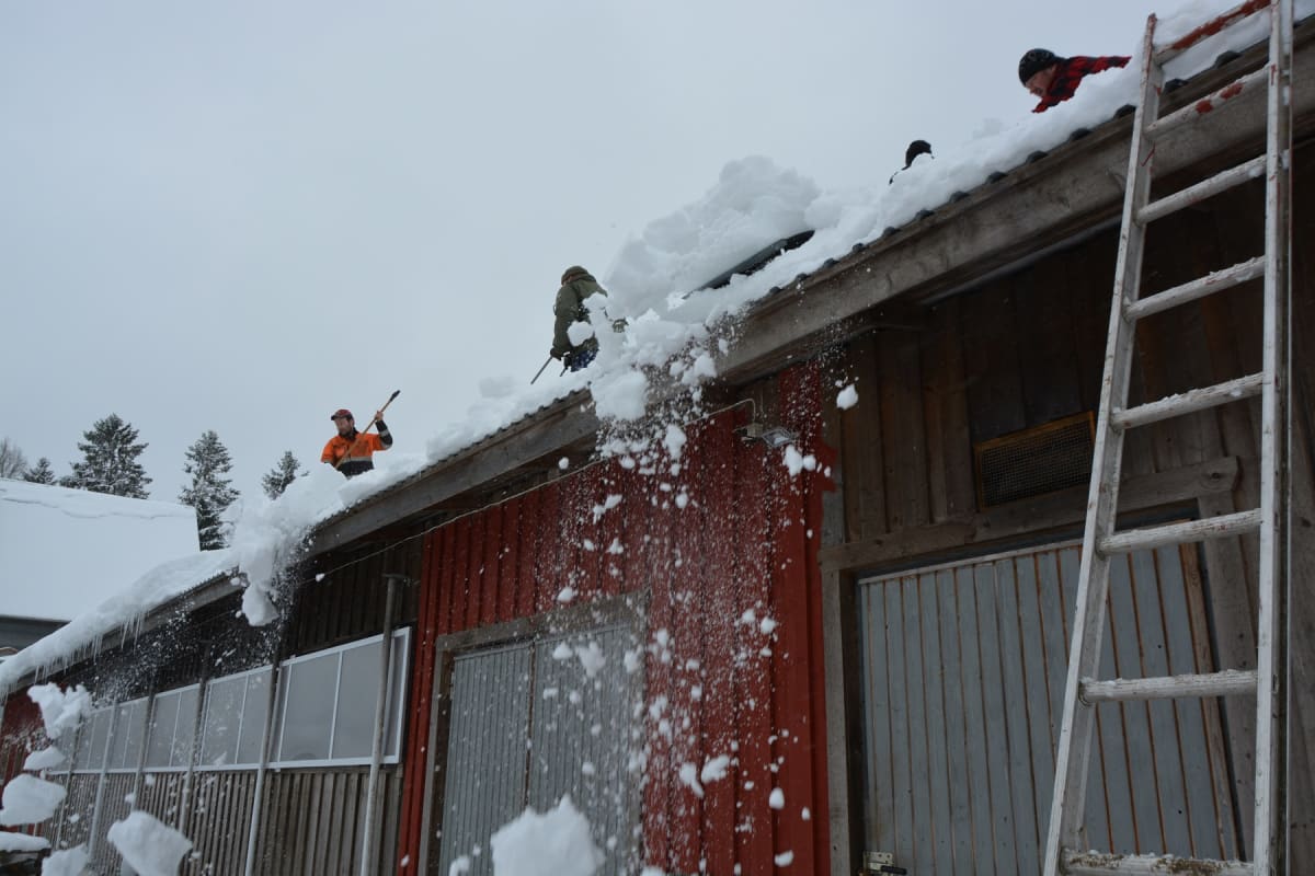 Katolla ollutta lunta oli paikoin jopa puolisen metriä, vaikka katto oli viimeksi puhdistettu vasta kuukausi sitten.