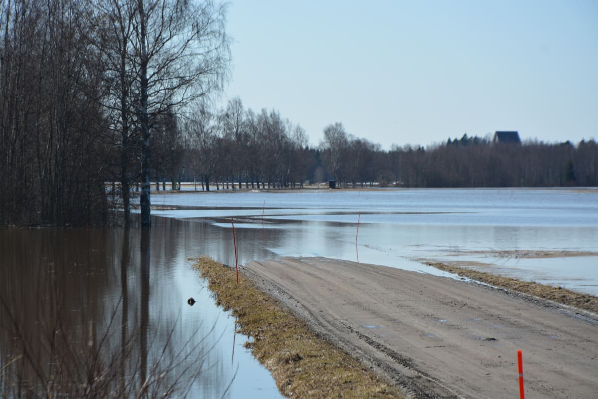 Kyrönjoki tulvii tielle Mustasaaressa 1904.2018