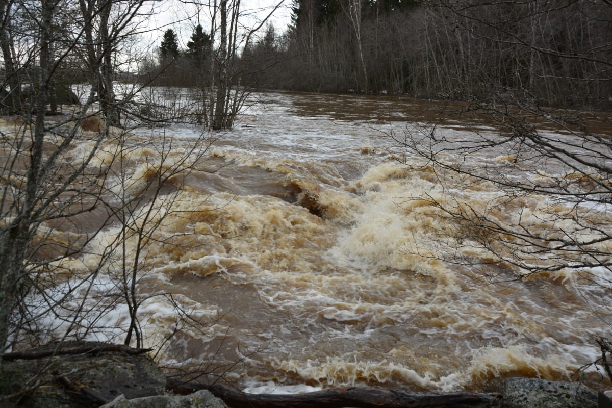 Kyrönjoen kuohuja 20.4.2018