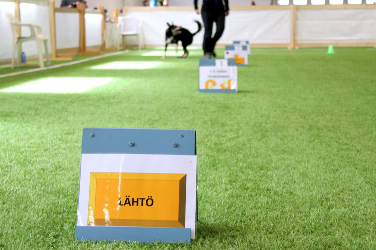 Rally-toko kisat, jossa koirakko suorittaa tehtäväkylttejä.