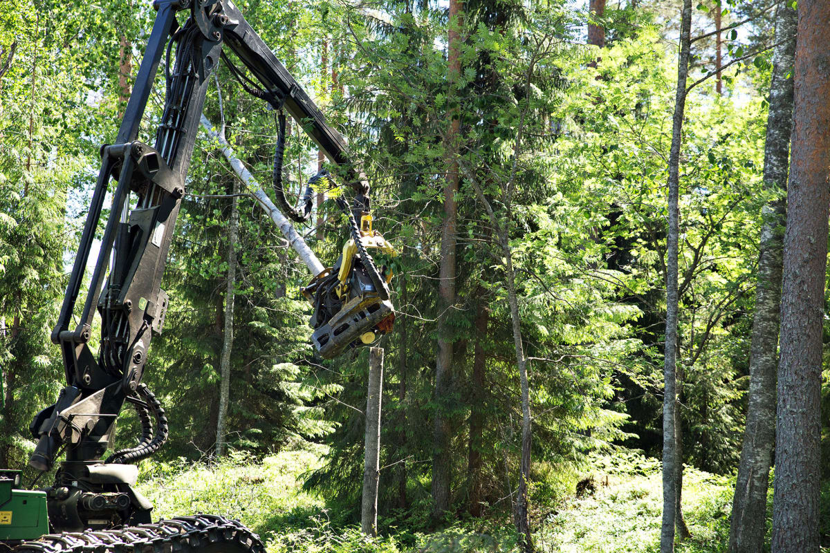Metsäkone korjaa puita.