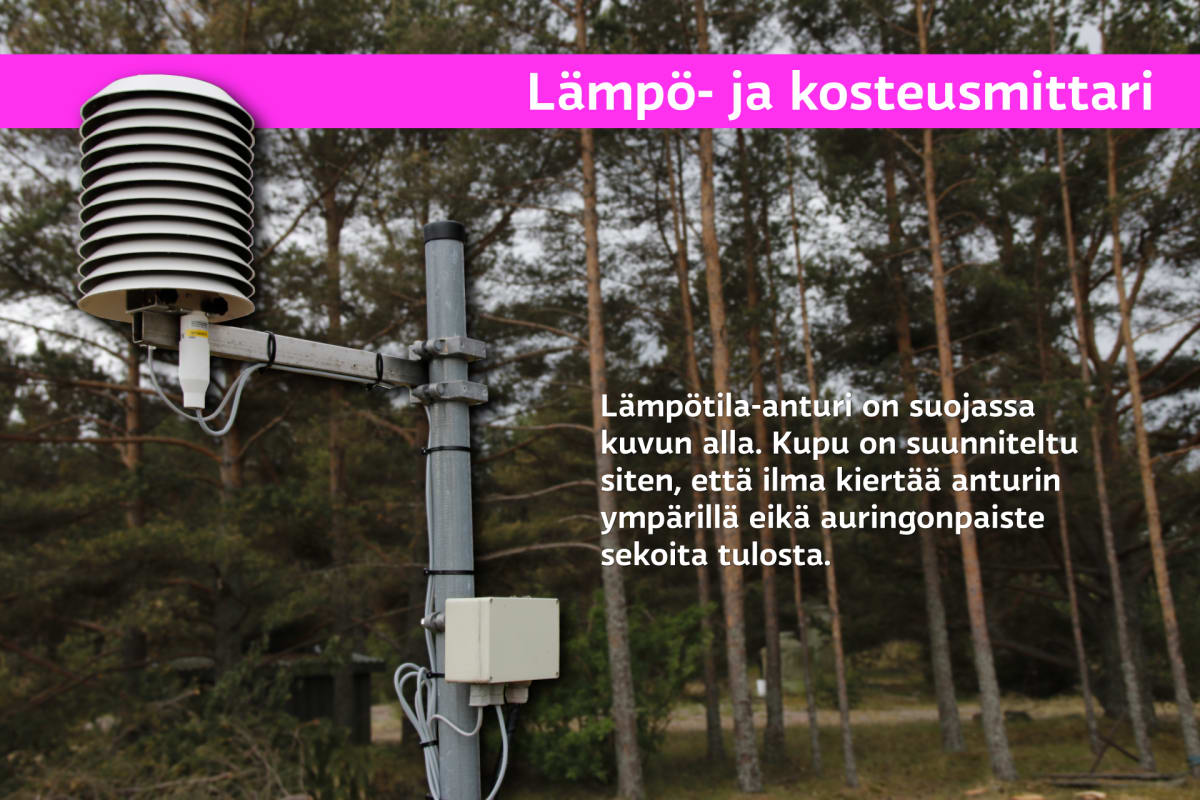 Merisääaseman lämpömittari