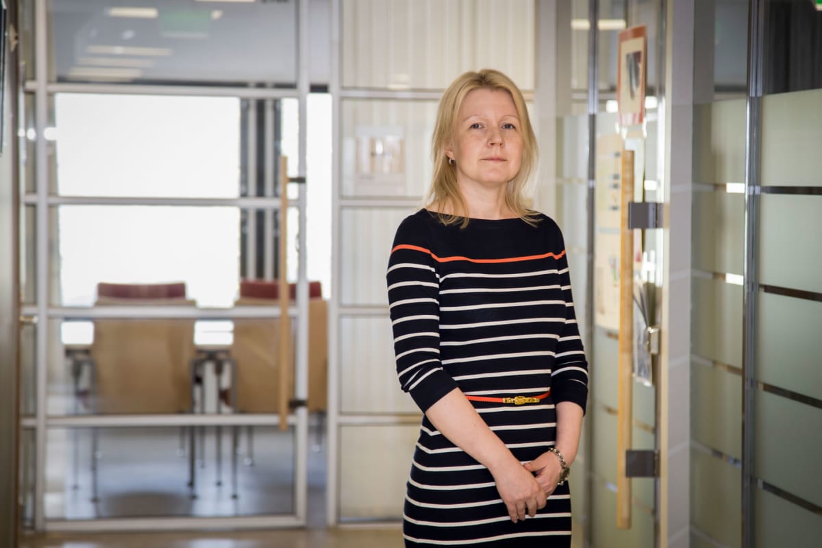 Ylitarkastaja Jenny Rintala, Etelä-Suomen aluehallintovirasto