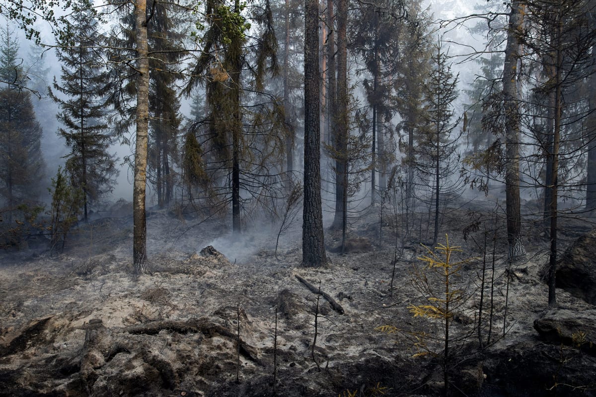 Pyhärannan metsäpalo 18. heinäkuuta