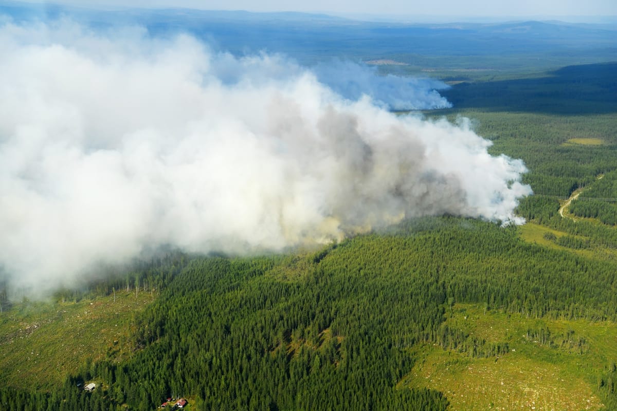 Metsäpalo Ljusdalin kunnassa