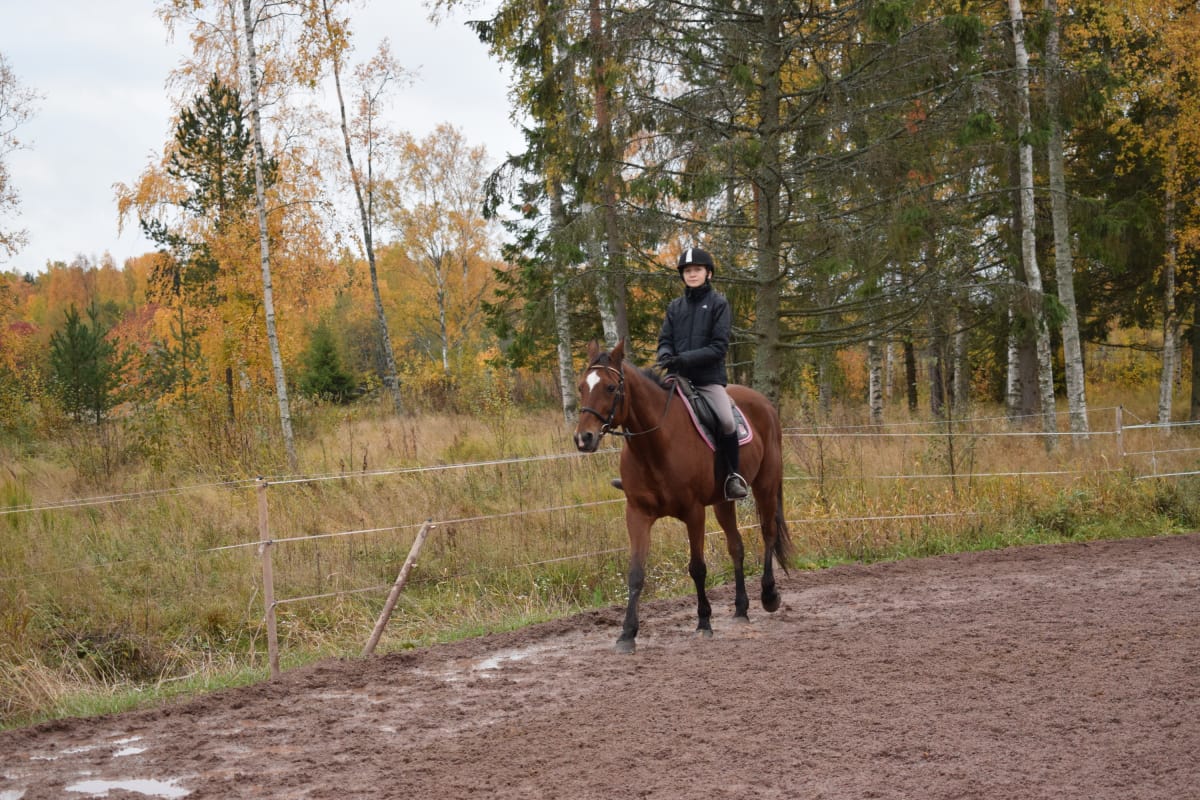 Aava Korhonen ratsastamassa Nakkilassa.