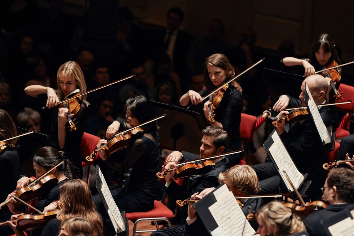 Concertgebouw-orkesteri