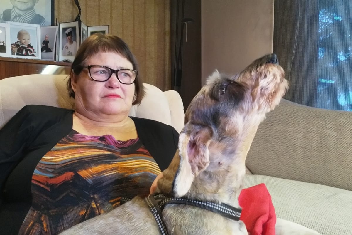 Toivo-koira laulaa virttä emäntänsä eijan sylissä.