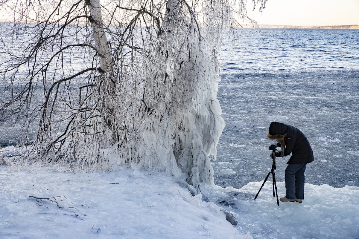 Jäätynyttä luontoa Näsijärven rannalla