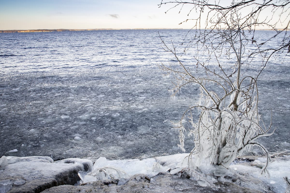 Jäätynyttä luontoa Näsijärven rannalla