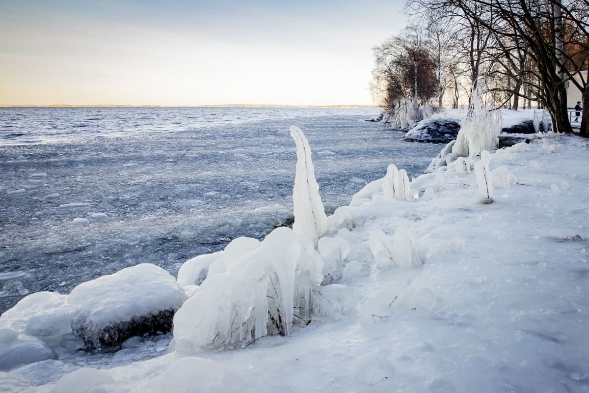Jäätynyttä luontoa Näsijärven rannalla