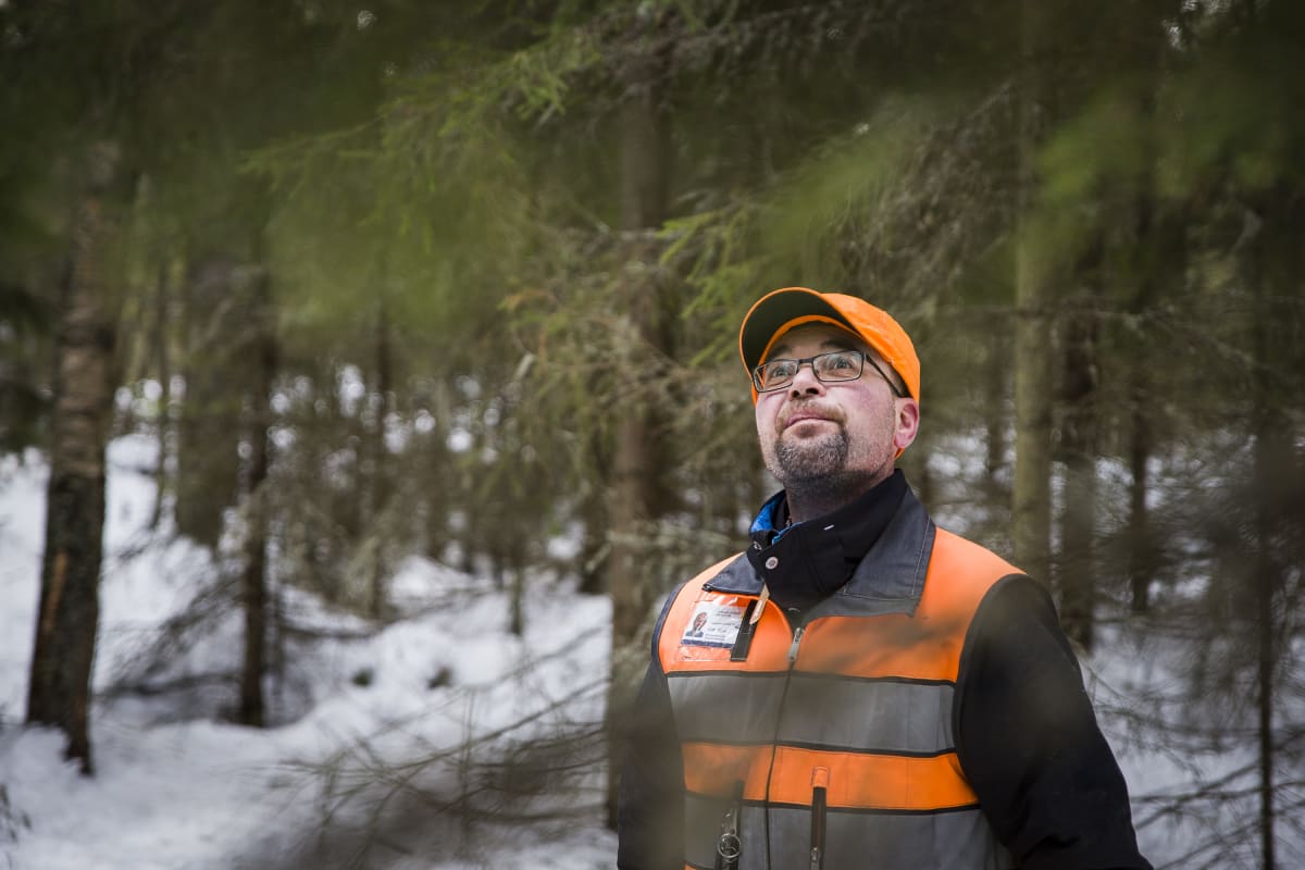 Ahti Räinä metsässä.