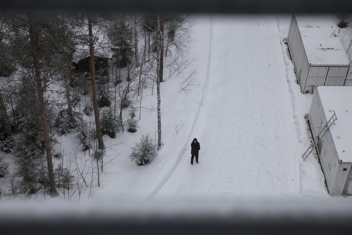 Markku Kulmala, Hyytiälä, metsäasema, ilmastonmuutos