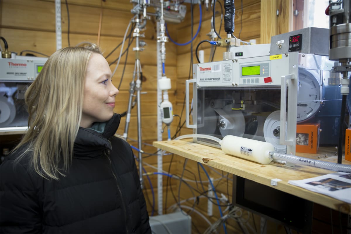 Josefina Nelimarkka, Kairos², Hyytiälän metsäasema