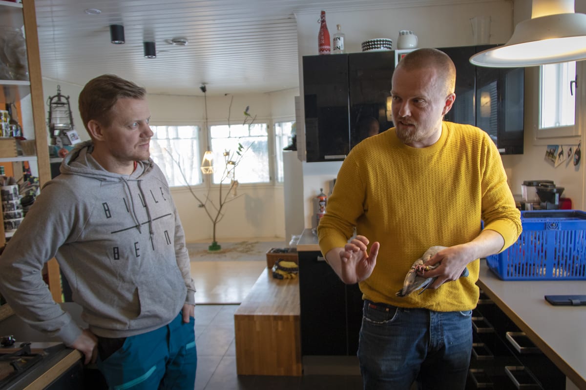 Kuormaaja Jouni Kuosmanen (vasemmalla) ja lintuharrastaja Ari-Pekka Auvinen (oikealla) tutkivat Teneriffalta Ouluun lentokoneen laskutelineessä kulkeutuneen kalliokyyhkyn vointia.