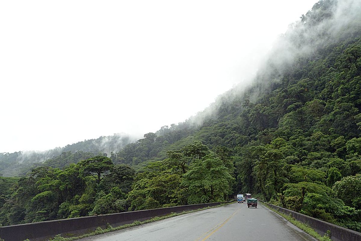 Costa Rican sademetsää.